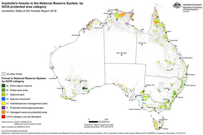 Rainforest Types of Australia. Brief description of the different types ...